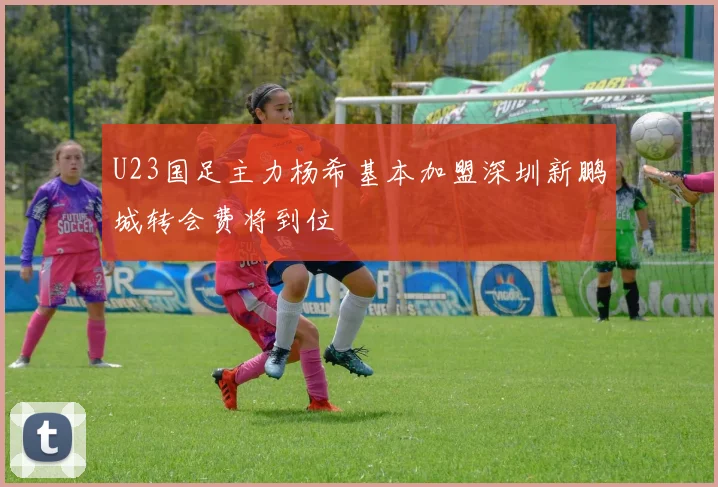 U23国足主力杨希基本加盟深圳新鹏城转会费将到位