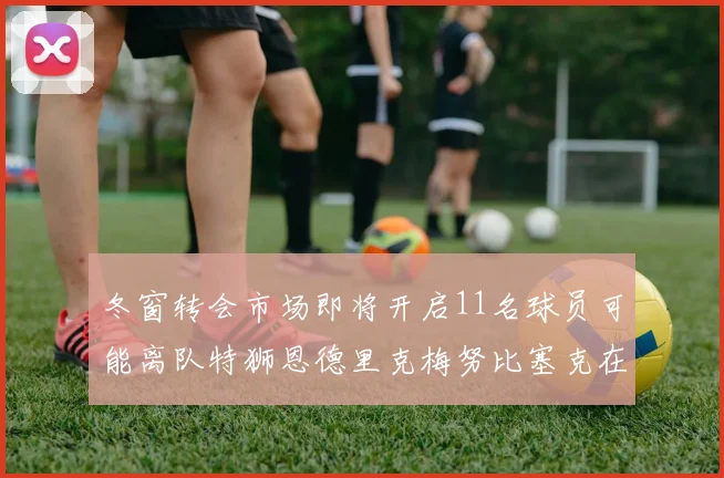 冬窗转会市场即将开启11名球员可能离队特狮恩德里克梅努比塞克在列