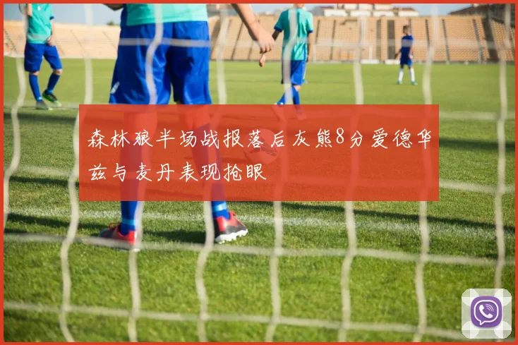 森林狼半场战报落后灰熊8分爱德华兹与麦丹表现抢眼