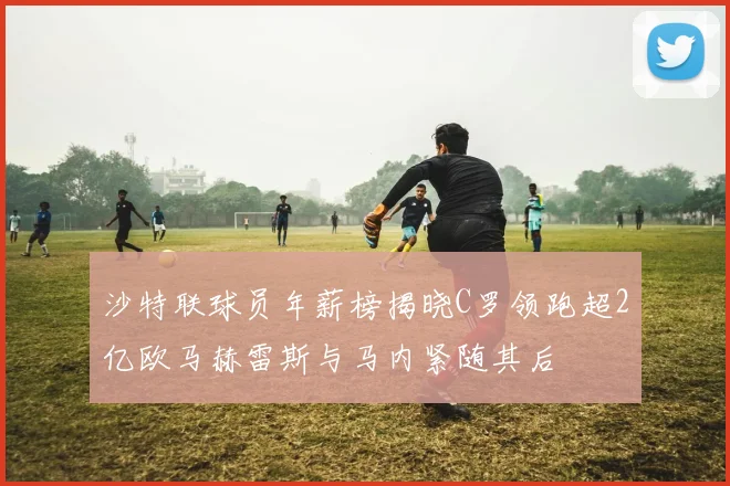 沙特联球员年薪榜揭晓C罗领跑超2亿欧马赫雷斯与马内紧随其后